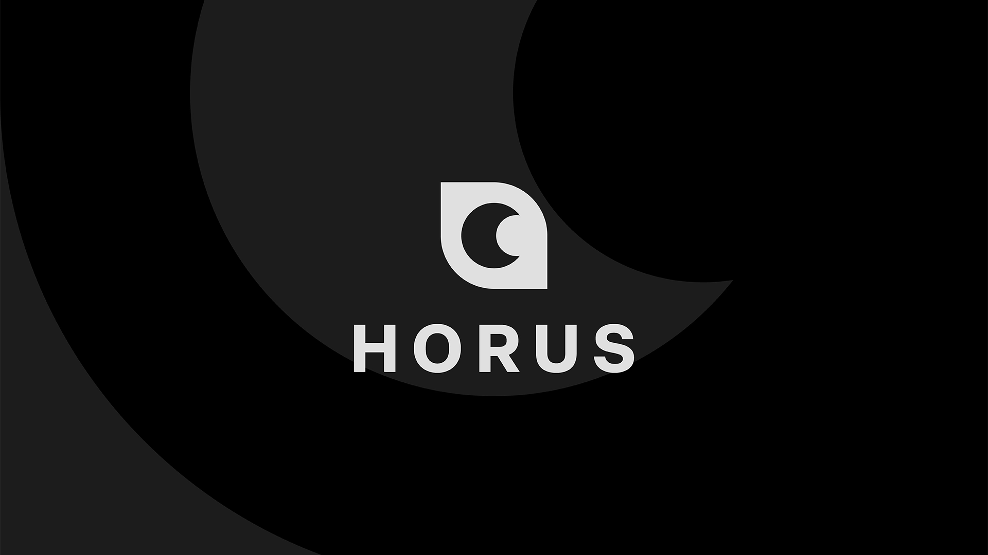 Horus' visual identity project case study